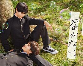 沙洋seo推广怎么做